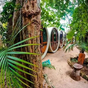 https://tubo-tulum-hostel-77760.tulum-hotels.net