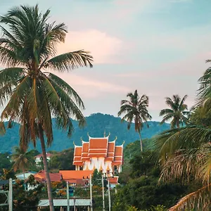 Scubadoo House And Diving Koh Tao